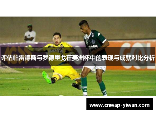 评估帕雷德斯与罗德里戈在美洲杯中的表现与成就对比分析