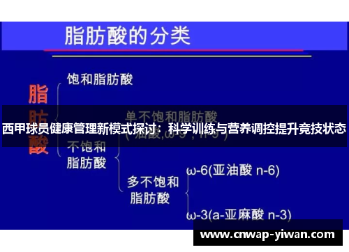 西甲球员健康管理新模式探讨：科学训练与营养调控提升竞技状态