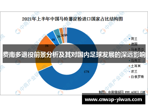 费南多退役前景分析及其对国内足球发展的深远影响 费南多退役前景分析及其对国内足球发展的深远影响